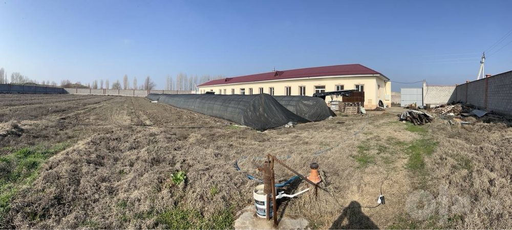 Ташкентская област Нурафшон