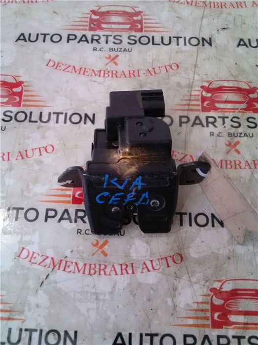 Broasca haion kia ceed