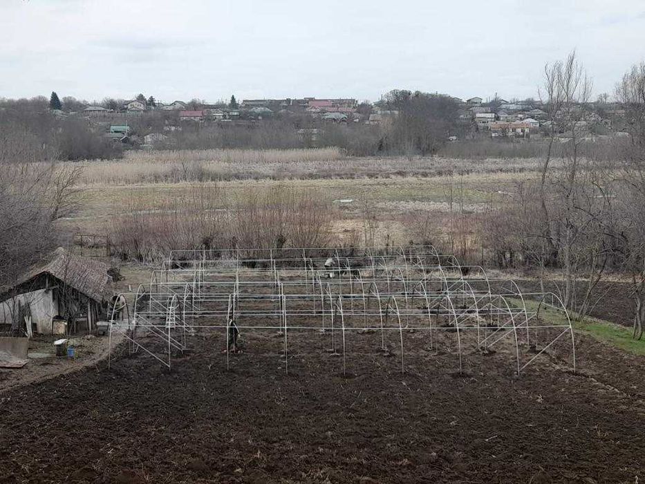 Solarii Legume - Solarii de Gradina - Transport Gratuit