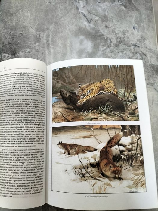 Продам большую книгу.