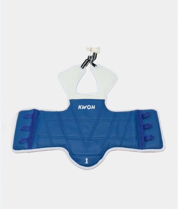 Taekwondo Protector