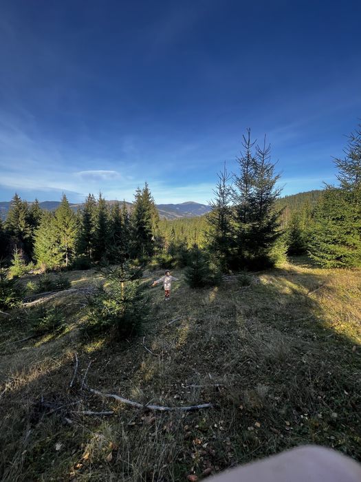 Teren la munte in Saru Dornei