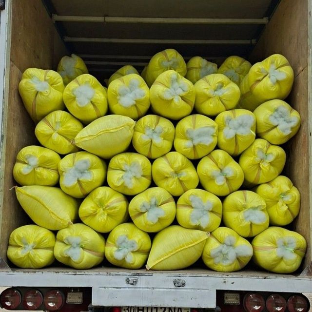 Sintfon 64 15 silikon Optum narxda