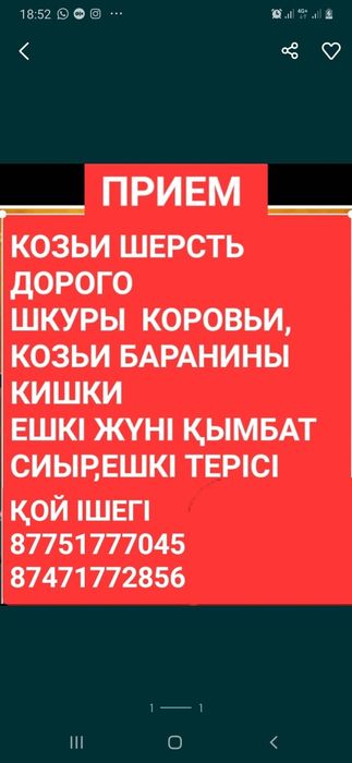 Акк ШЕРСТЬ в фф сатам срочно