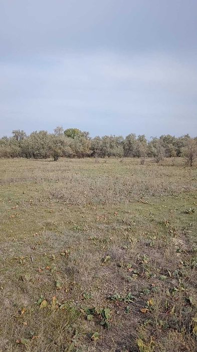 Продам участок в Байсерке