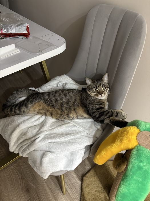 СРОЧНО! Ищем нового хозяина