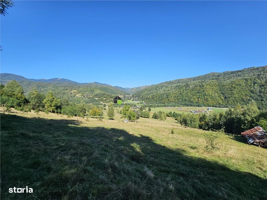 Teren intravilan, 21.000 mp, Zona Intre Barse, spre Plaiul Foii, Zarne
