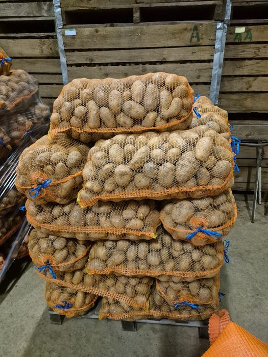 Cartofi consum alb si rosu