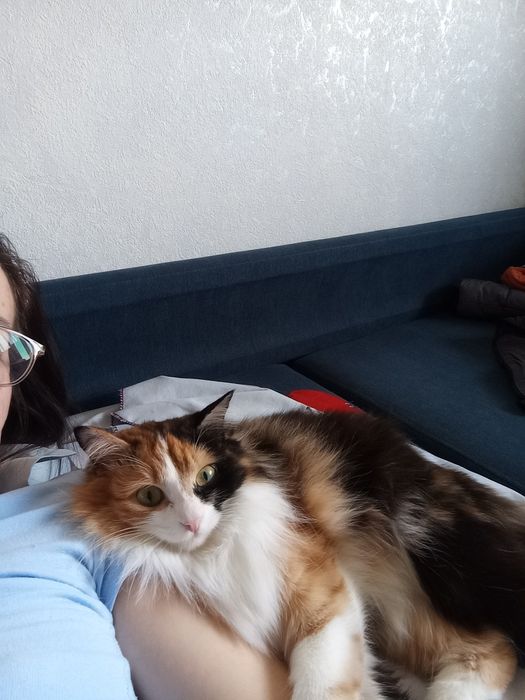 Отдам в хорошую руку