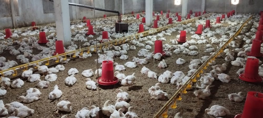 Бизнес шерик от10000 до 30000