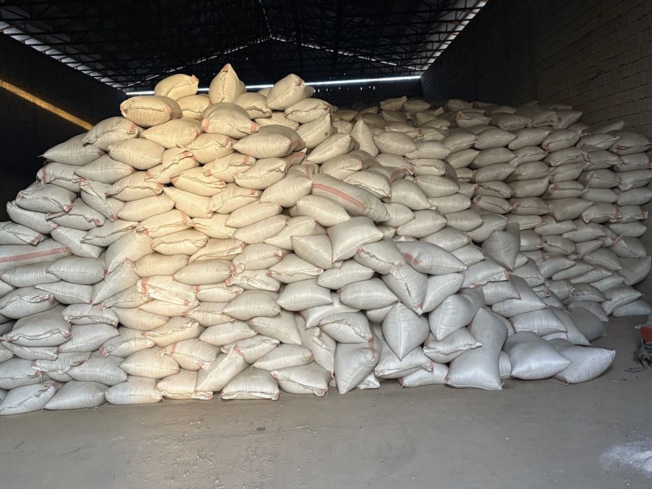 PAXTA SHROT (kunjara) sotiladi