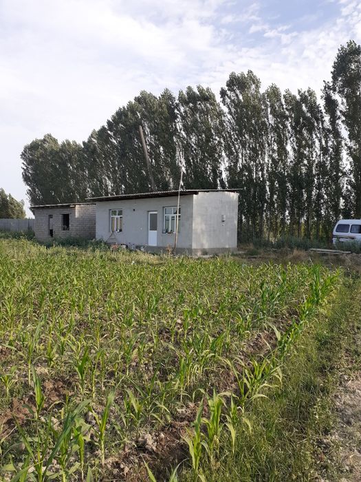 12 sotik Er uy joy uchaska sotiladi. Kadastr xujjatlari bor.