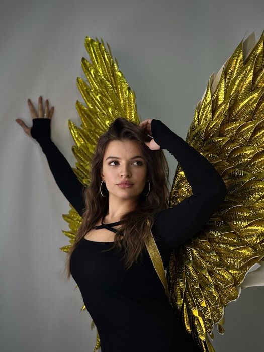 Крылья Ангела Шымкент на прокат