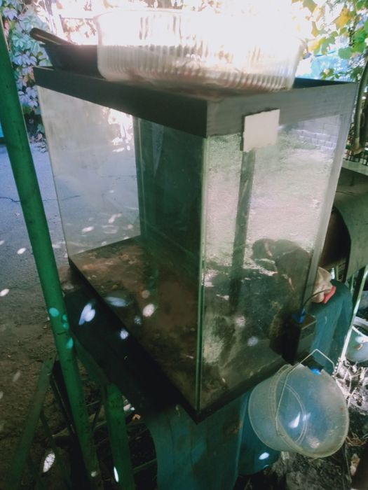 Продаются два аквариума