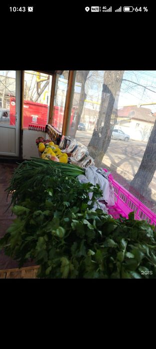 Здам помтшение под аренду