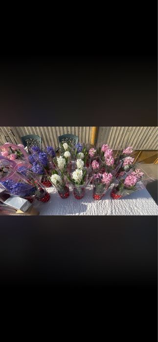 Flori Transilvaniei 407