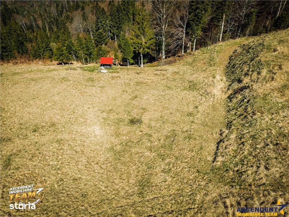 In notabil areal, teren extravilan pe 5.800 mp, Ojdula, Covasna