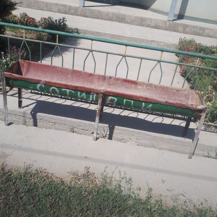 Qòy uchun muljalangan oxir