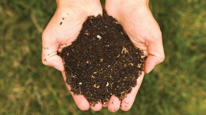 Vand Pamant Vegetal Mranita !! Calitate Superioara Cernut !!