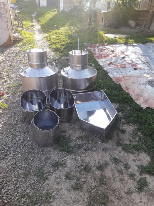 Vând crinte galeți