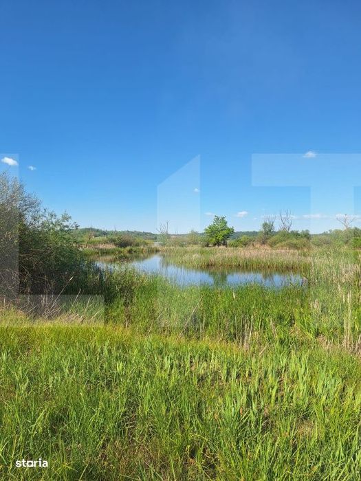 Teren de vanzare 1.600 mp cu deschidere la lac – zona Lacul Surduc