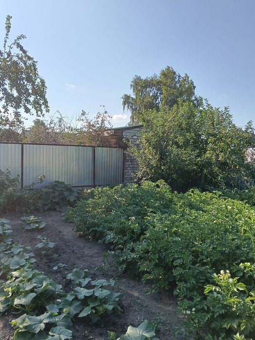 Продам дачу в Солнечном(Новопавловка) 3 сотки