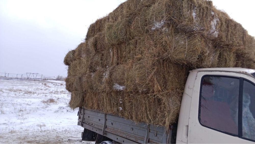 продам сено тюки