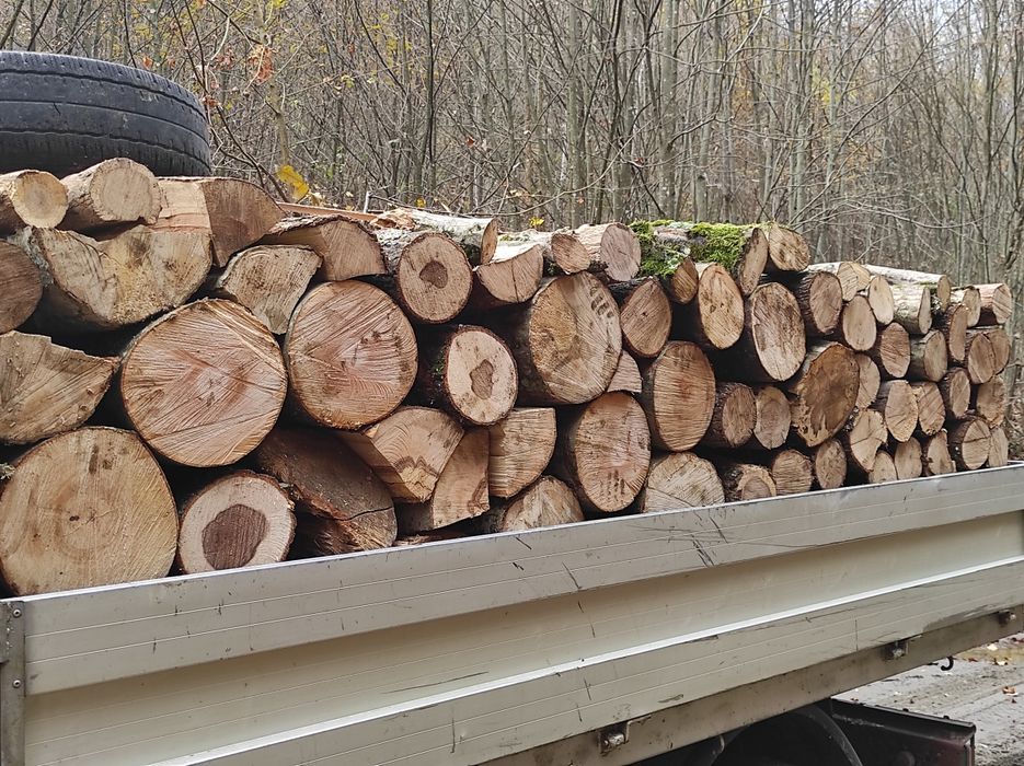 Lemne de vanzare