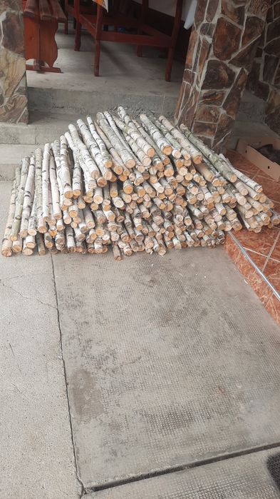 Trunchiuri mesteacan / Tulpini mesteacan