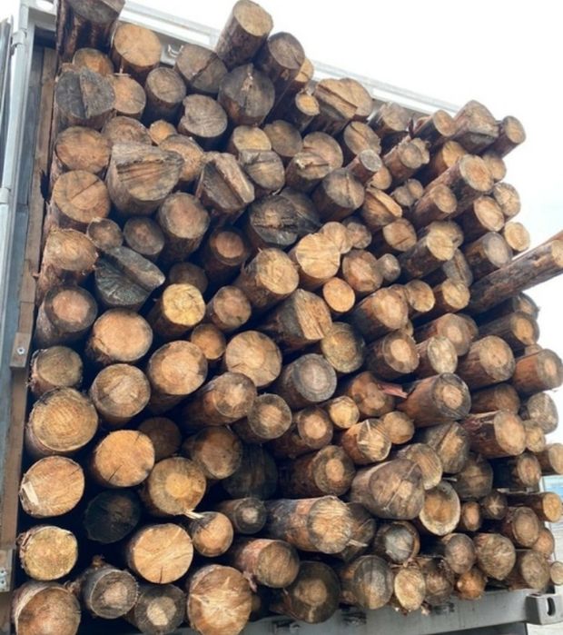 Страпила бөрене обрущетка Опилка