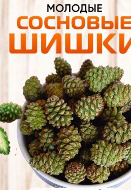 Шишки сосновые и черноплодка
