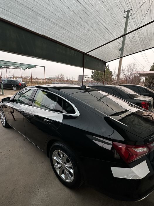 Малибу Пример Аргинал