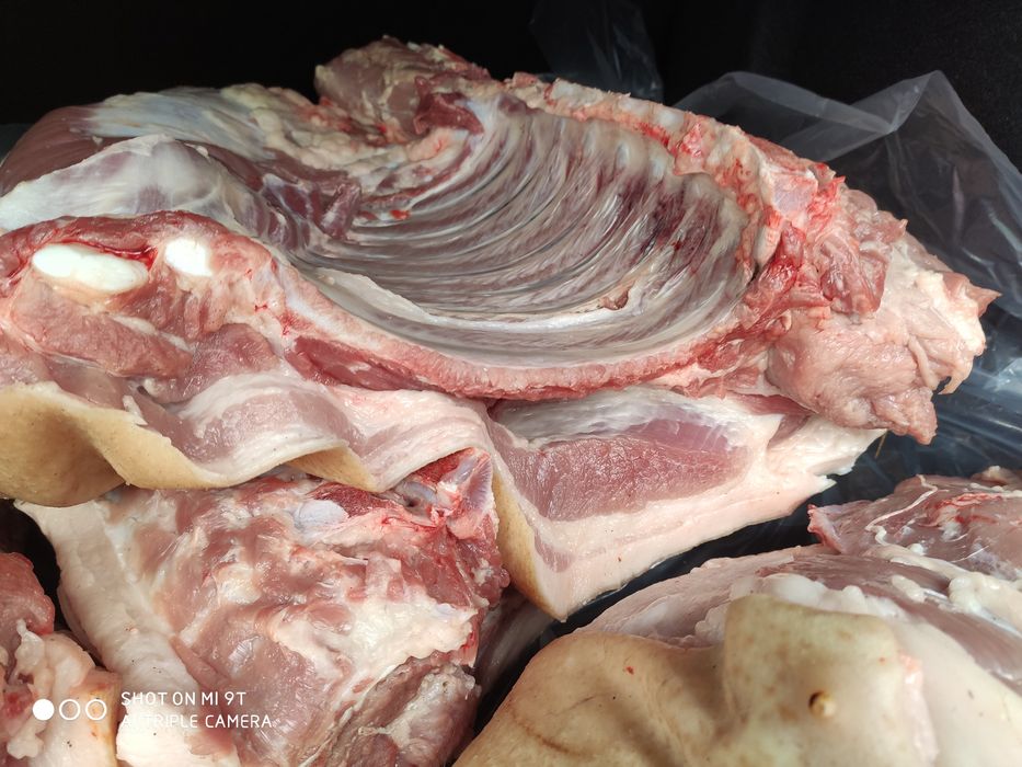 Продам мясо свинины по 1750