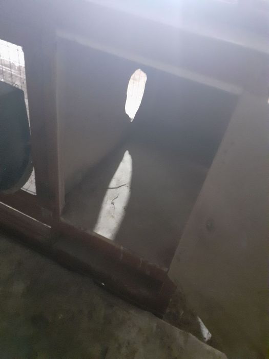 Quyon  uchun katak sotiladi