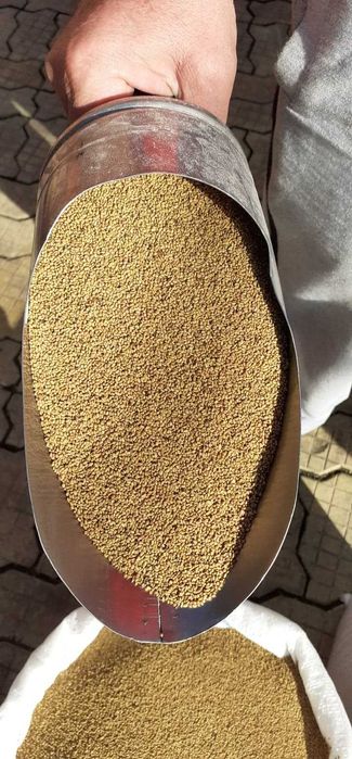 Samanta de lucerna, samanta de mei, sparceta