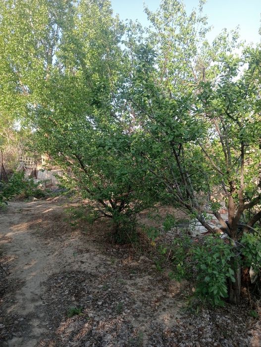 Продам дачу в П МК 52   Дом де комнаты и коридор