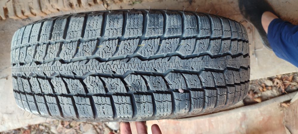 Toyo yapon qishki shinasi