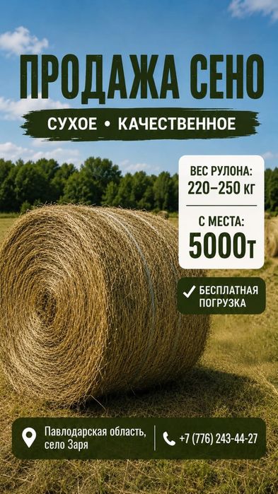 Продам сено рулоны луговое