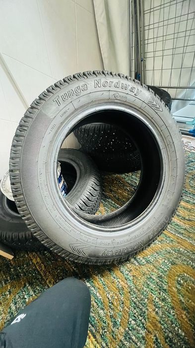 Балон зимний . Шиповный