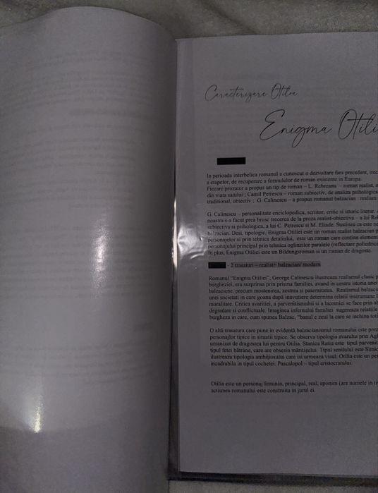 Dosar lectii 2 si 3/eseu bac romana