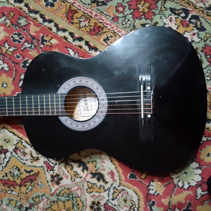 Продается Гитара Terris