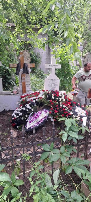 loc de veci cimitirul bellu