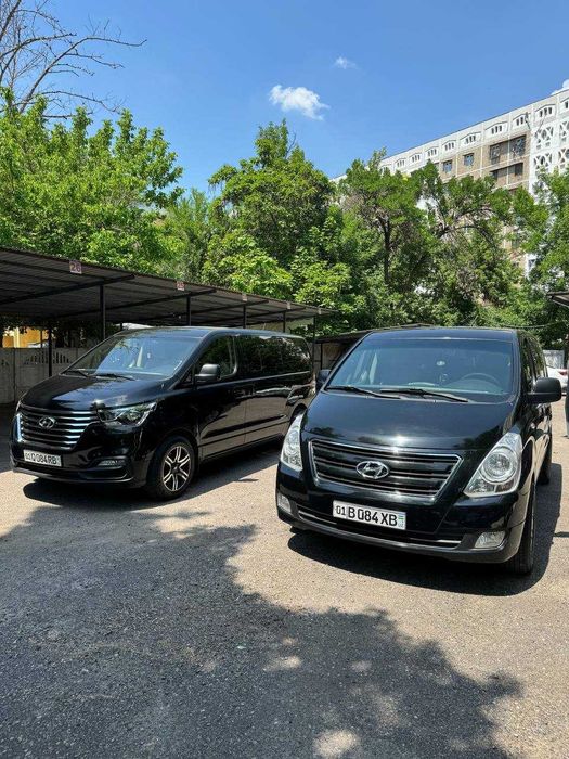 Поездки из Ташкента в горы, такси в горы, Чимган, Чарвак, Амирсай