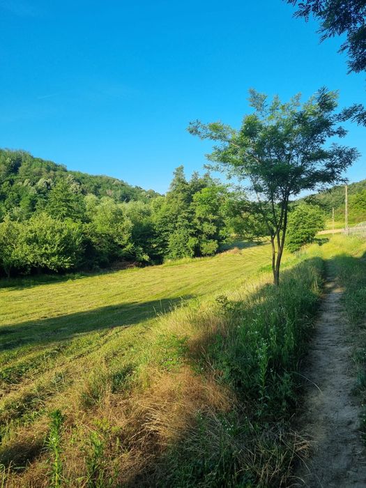 De vânzare proprietate deosebită in judetul Bihor Comuna Orvisele