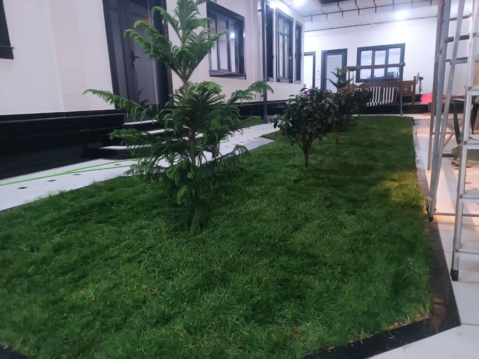 Посев и укладка газона | Gazon ekish va yotqizish hizmati