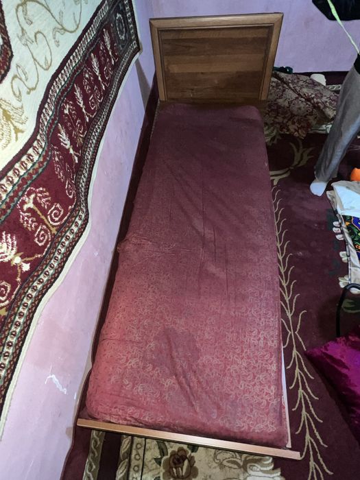 Кимга кере тел клила