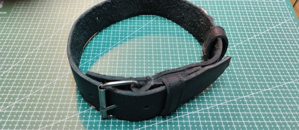 Ошейник для собак