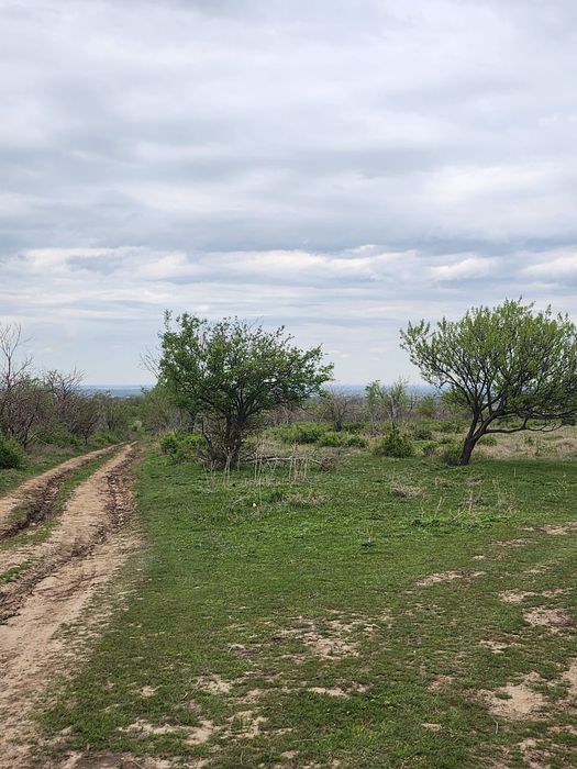 ДОЛАН  Рассрочка