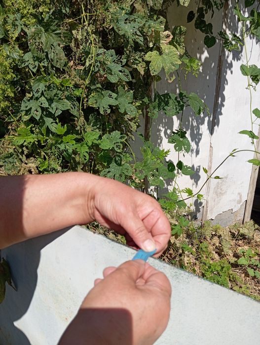 Металл б/у Производство Россия