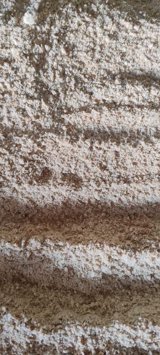 Ячмень, пшеница дробленные 95тг..